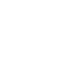 category-icon